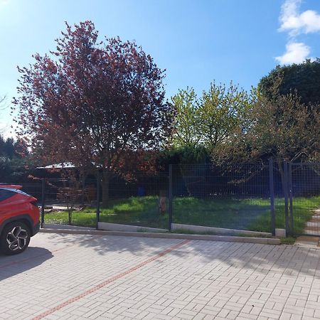 Penzion U Novotnych Jiřetín pod Jedlovou Εξωτερικό φωτογραφία